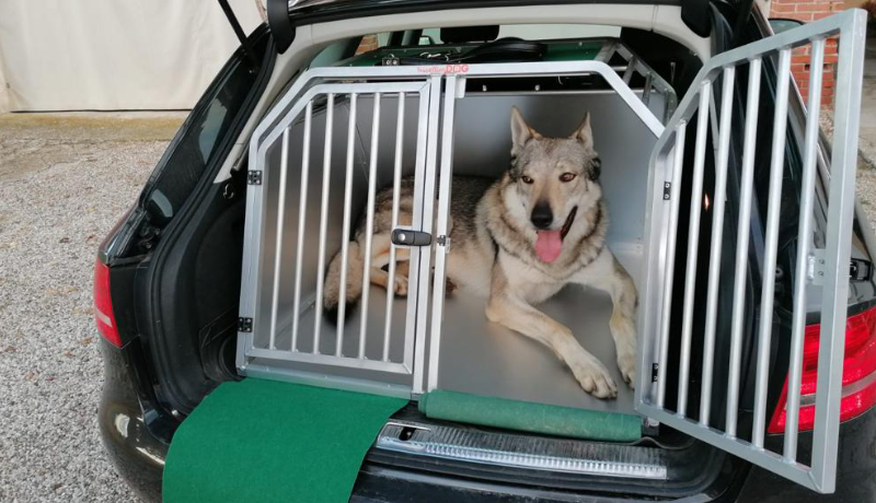 Kennel per cane lupo cecoslovacco - TRAVELLING DOG