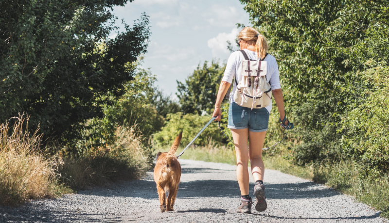 Weekend con cane: ecco dove andare in primavera! - TRAVELLING DOG