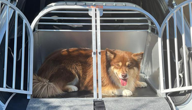 Lapinkoira: trasportino in alluminio realizzato su misura per una Volkswagen T-rock - TRAVELLING DOG